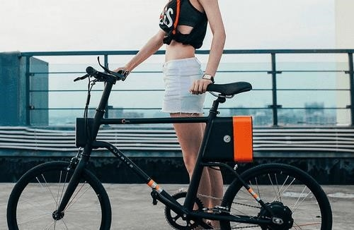Электрический большой велосипед Xiaomi Yunbike C1