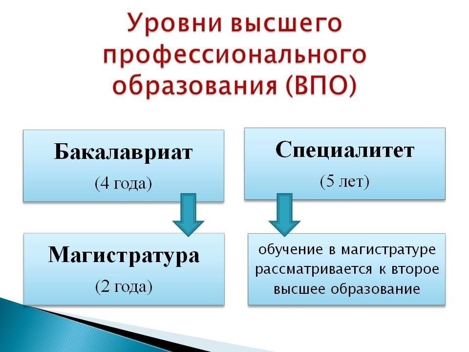 Чем обучение в университете отличается от профессионального опыта