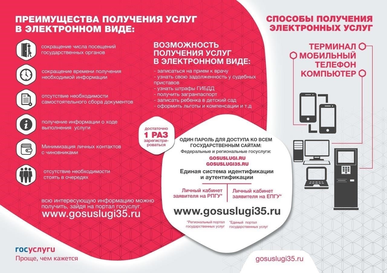 Использование государственных сайтов для получения регистрационной информации