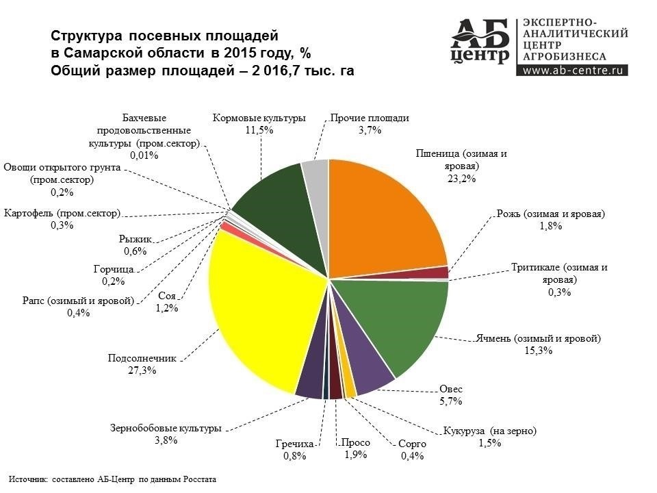 Основные направления деятельности организации в Самарской области