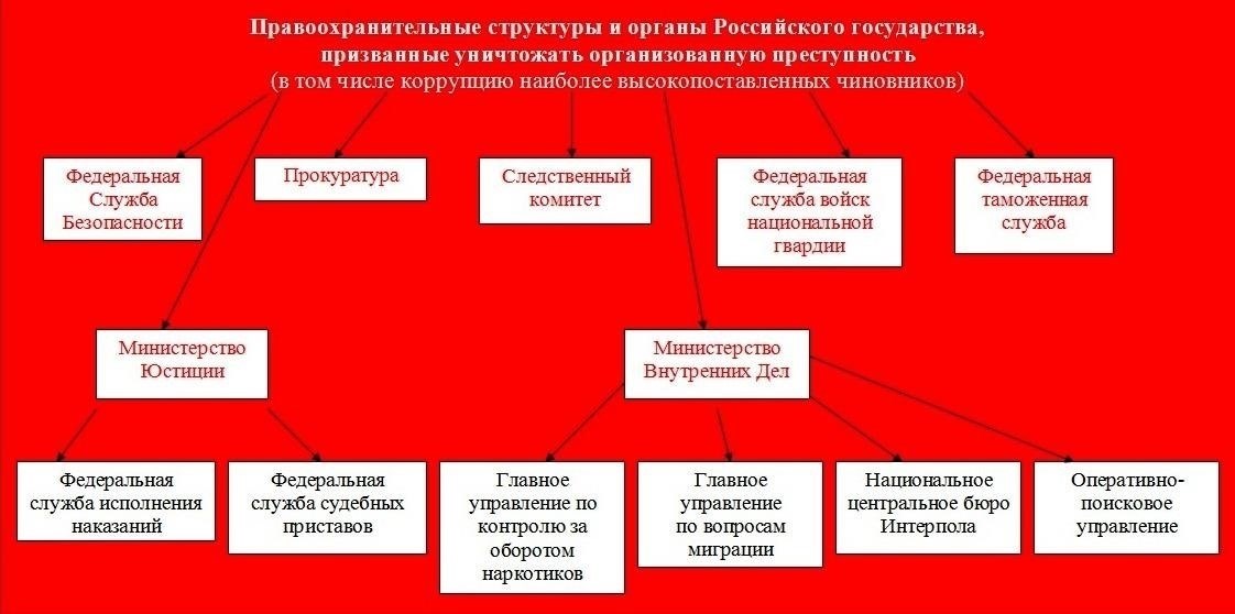 Роль полиции в предотвращении экономических преступлений в строительном секторе