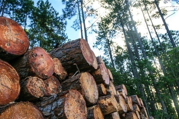 Какие виды сделок могут быть совершены дистанционно?