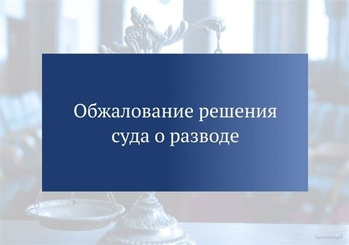 Как подать апелляцию на решение суда по делу о разводе