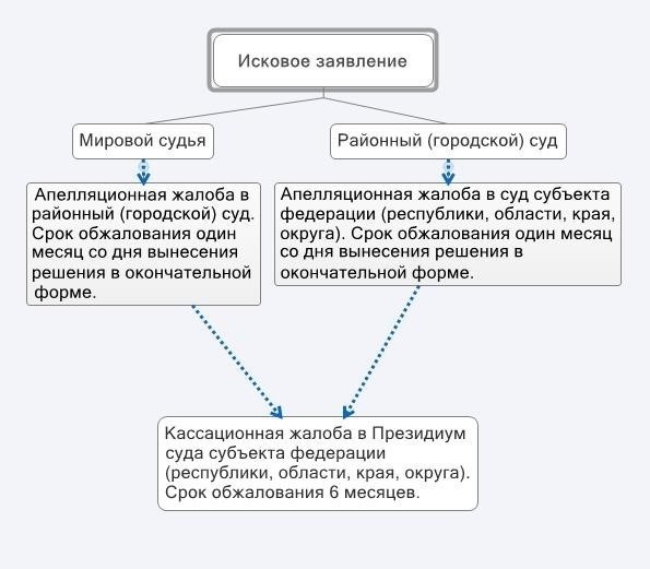 Что ожидать во время апелляционного процесса