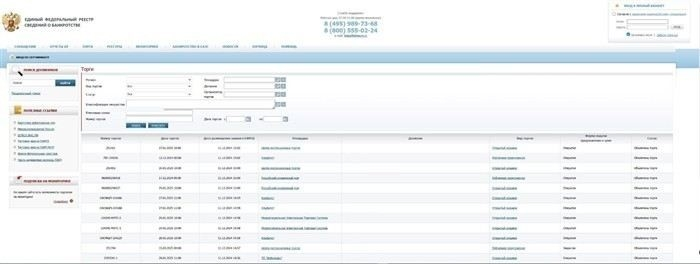 Особенности публикации информации о торгах в электронной форме