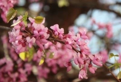 Управление сегодня: В этом году