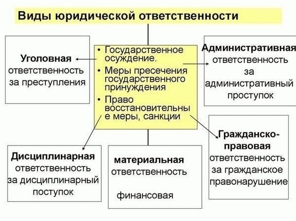 Юридическая ответственность за нарушение правил торговой деятельности