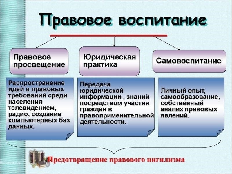 Как юристы по правам ребенка отстаивают наилучшие интересы детей