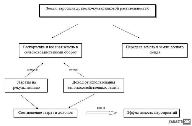 Как новое законодательство влияет на оборот сельскохозяйственных земель