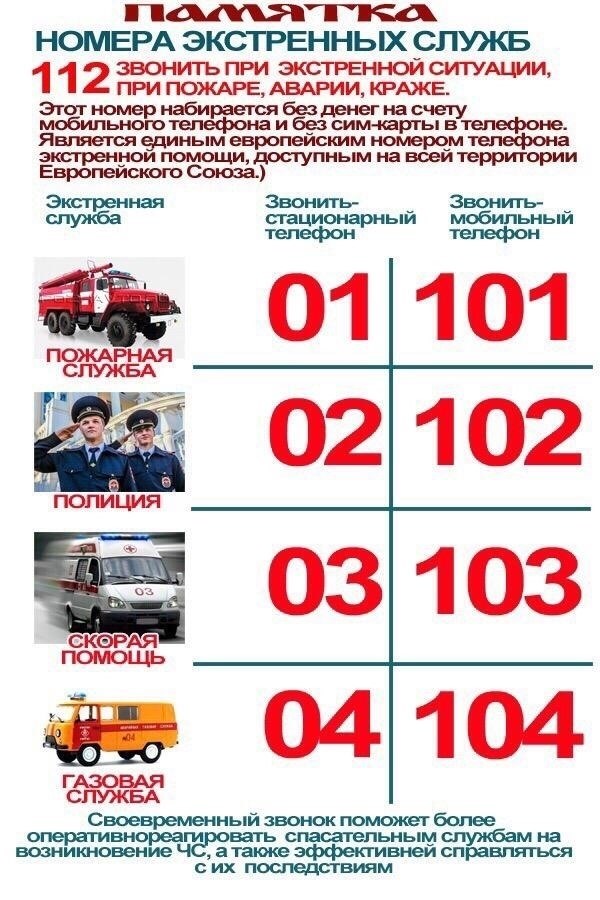 Как позвонить в полицию: Какая информация должна быть предоставлена