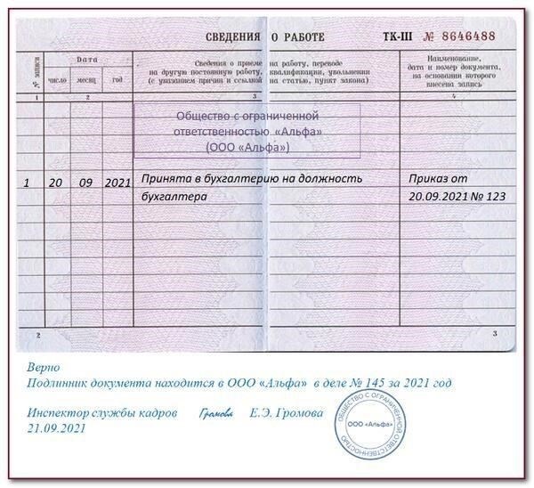 Как правильно оформить трудовые отношения: Ключевая документация