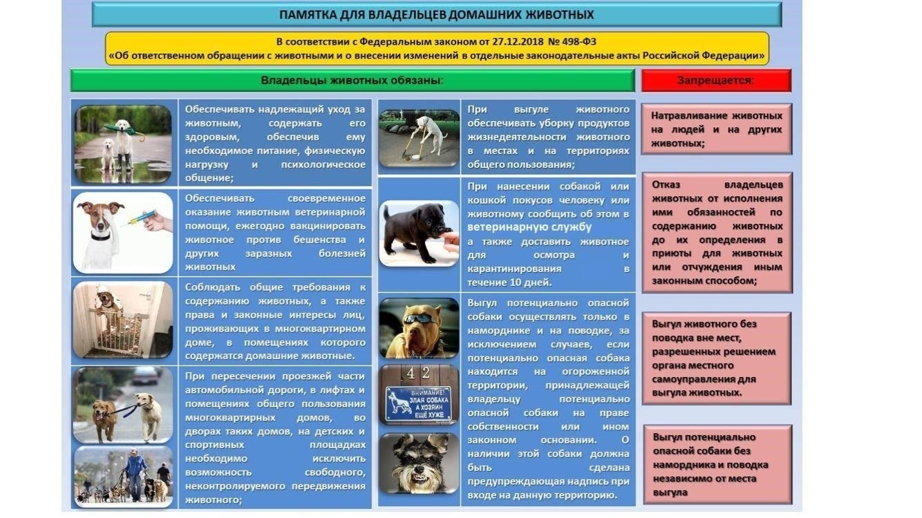 Как правильно сообщить о жестоком обращении с животными