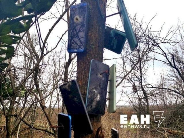 Задача повышения дисциплины: как новый закон отражается на военной службе