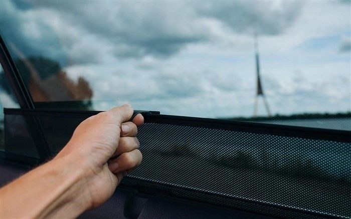 Споры о протоколах: что нужно учитывать при обжаловании