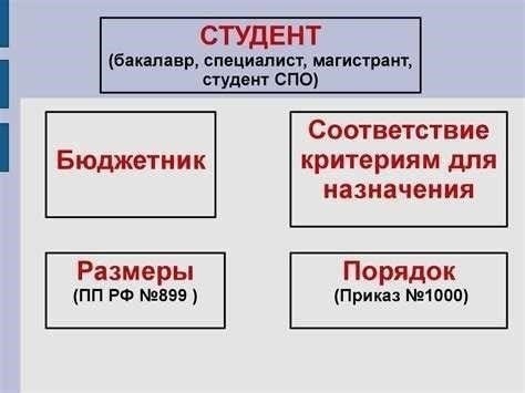 Критерии отбора на социальные стипендии: Кто может подать заявку?