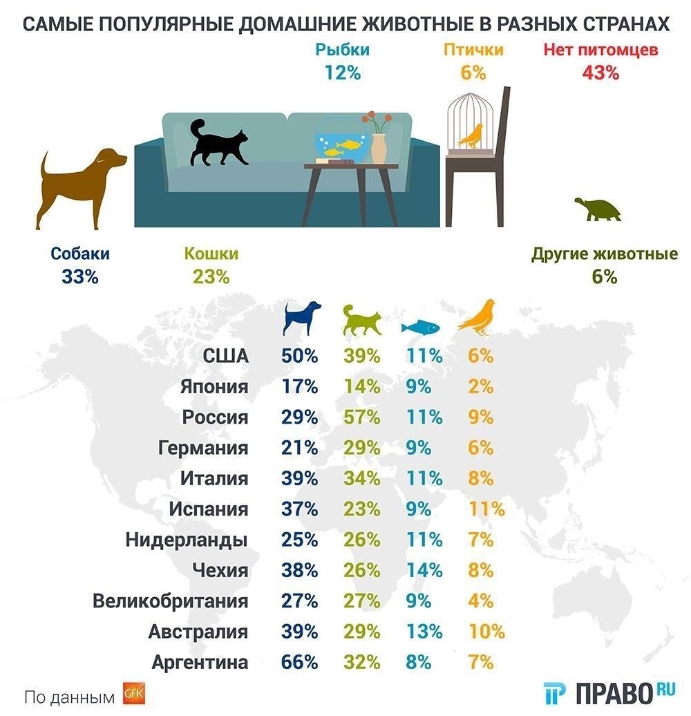 Международное сравнение: Наказания за жестокое обращение с животными в разных юрисдикциях