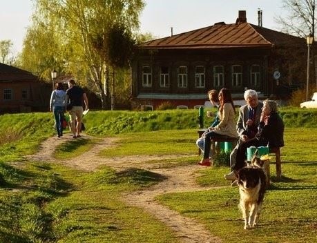 Тепличное садоводство признано перспективной инвестиционной нишей в Хабаровском крае