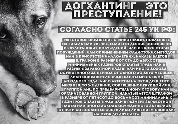 Начиная с кошек: Исторические корни законодательства о жестоком обращении с животными