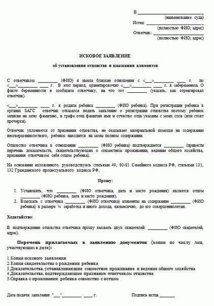 Начните с определения суда, в который следует подавать иск. Спор о биологическом отце ребенка должен быть подан в суд соответствующей юрисдикции, которым обычно является суд по семейным делам. Если вы не уверены в правильности выбора суда, обратитесь за помощью к юристу или проконсультируйтесь на сайте суда.