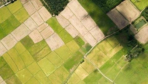 Какие бумаги потребуются для раздела земельного участка?