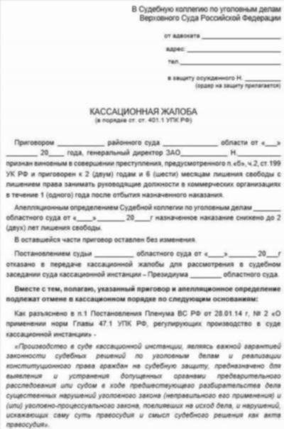 Обжалование дела в кассационной инстанции: Практическое руководство