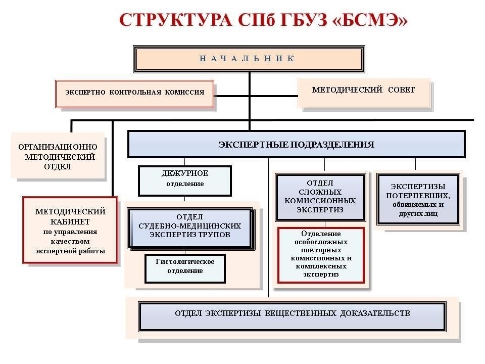 Организационная структура бюро судебно-медицинской экспертизы