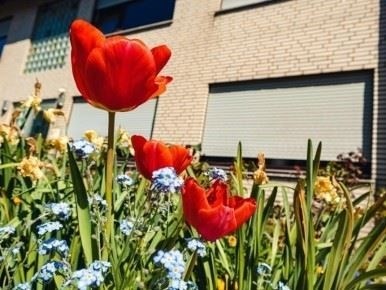 Государственная поддержка и финансовая помощь семьям переселенцев