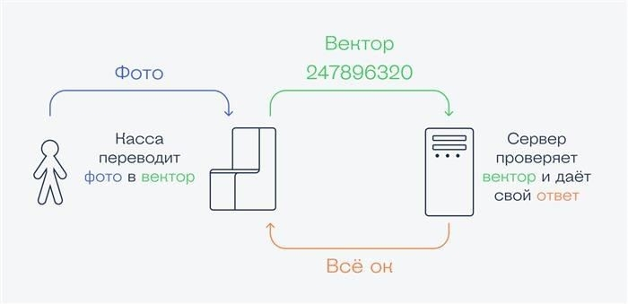 Как алгоритмы анализируют и сопоставляют биометрические данные