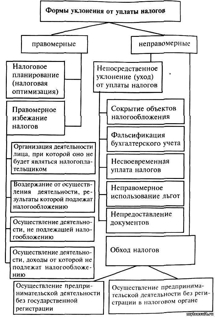 Понимание экономических последствий уклонения от уплаты налогов