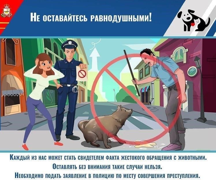 Понимание статьи о жестоком обращении с животными от 2017 года
