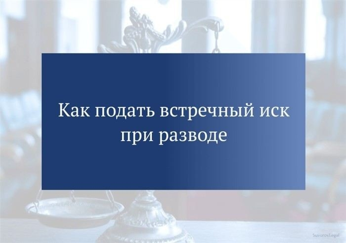 Как правильно составить встречное исковое заявление для раздела имущества