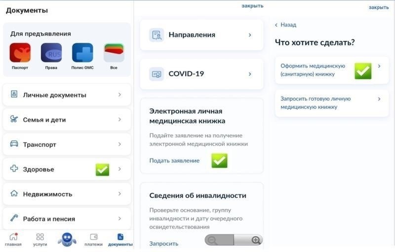 Пошаговый процесс подачи заявки на получение санитарной книжки