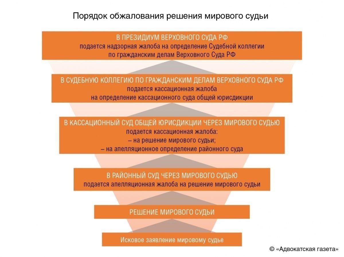 Практические шаги по инициированию оспаривания судебного акта