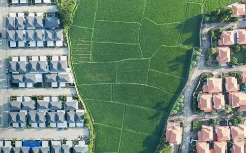 Что должно быть в досудебной претензии к соседу