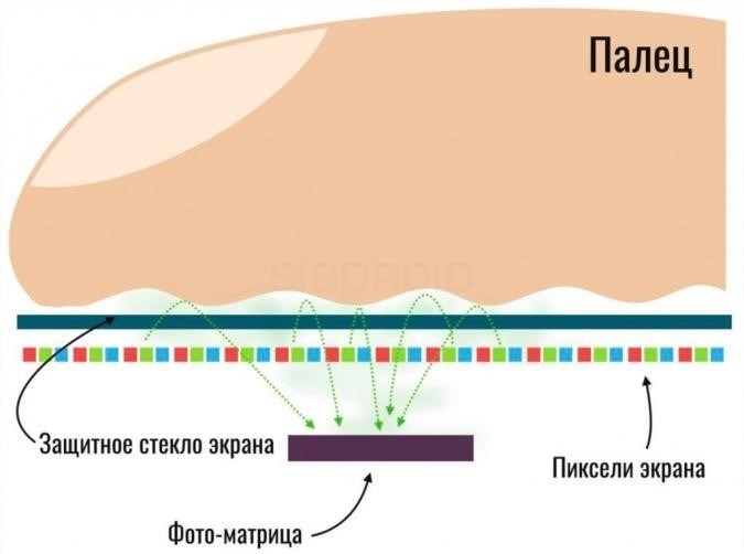Принцип работы датчиков отпечатков пальцев в смартфонах