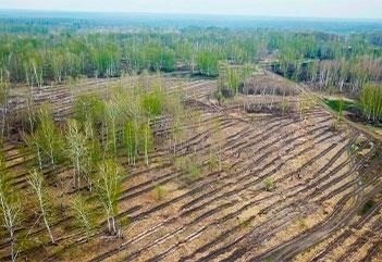 Проект SoilEco по рекультивации земель: Что мы предлагаем