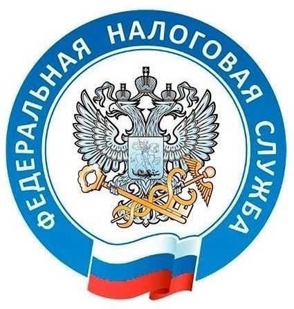 Пошаговая инструкция по проверке статуса декларации 3-НДФЛ