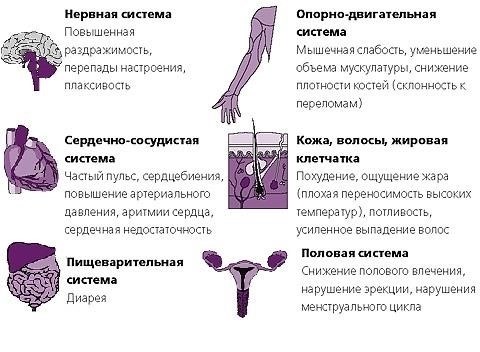 Связь между йодной недостаточностью и нарушениями менструального цикла у женщин