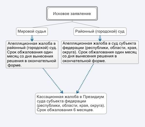 Требования законодательства к структуре апелляционной жалобы