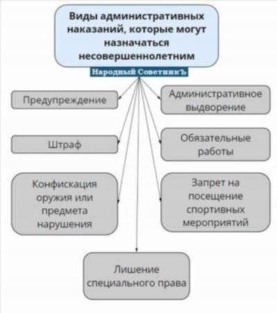 Виды нарушений в сфере регулирования торговли и возможные административные последствия