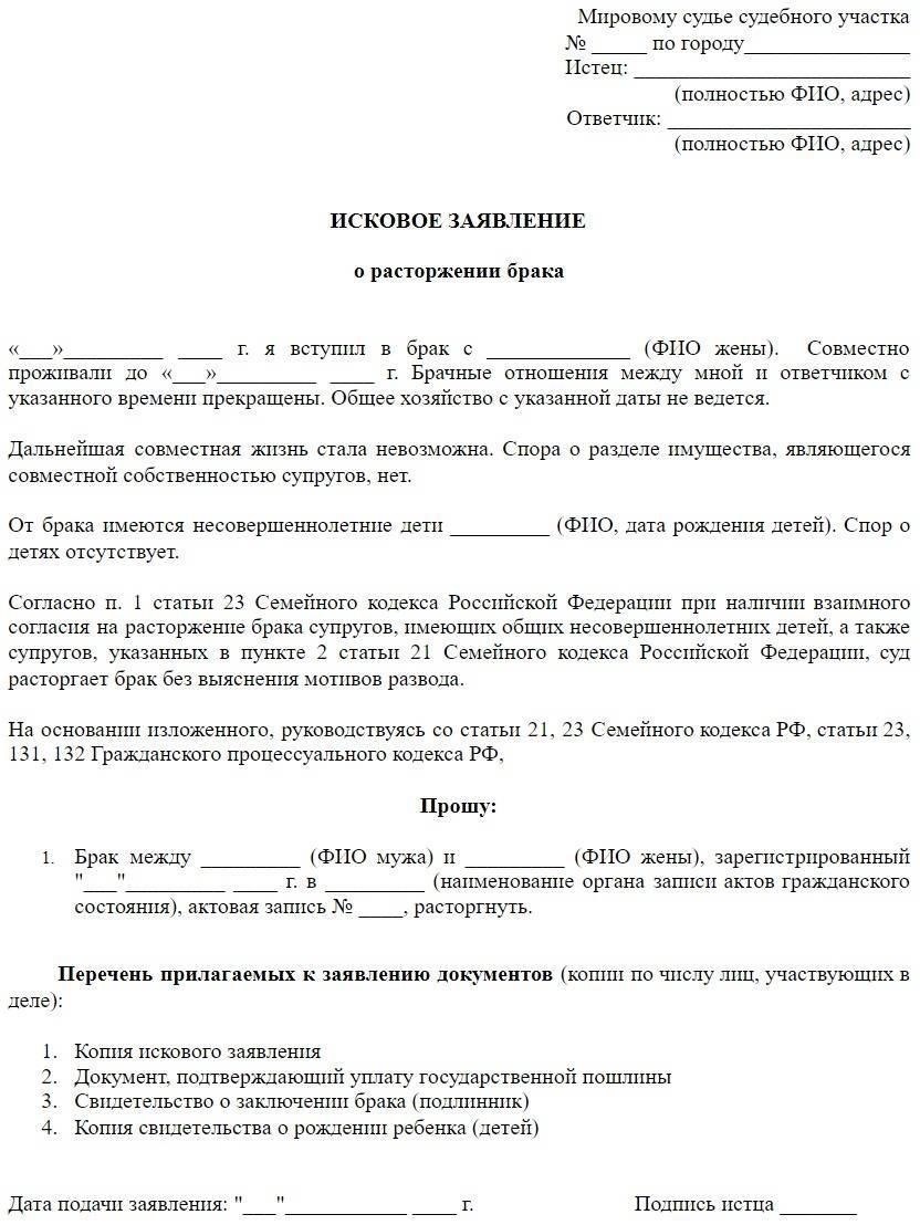 Заполнение формы заявления о разводе: Основные сведения, которые необходимо включить