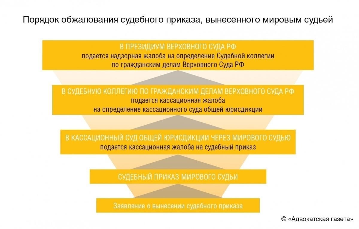 Защита свидетелей: Какие меры правовой защиты существуют?